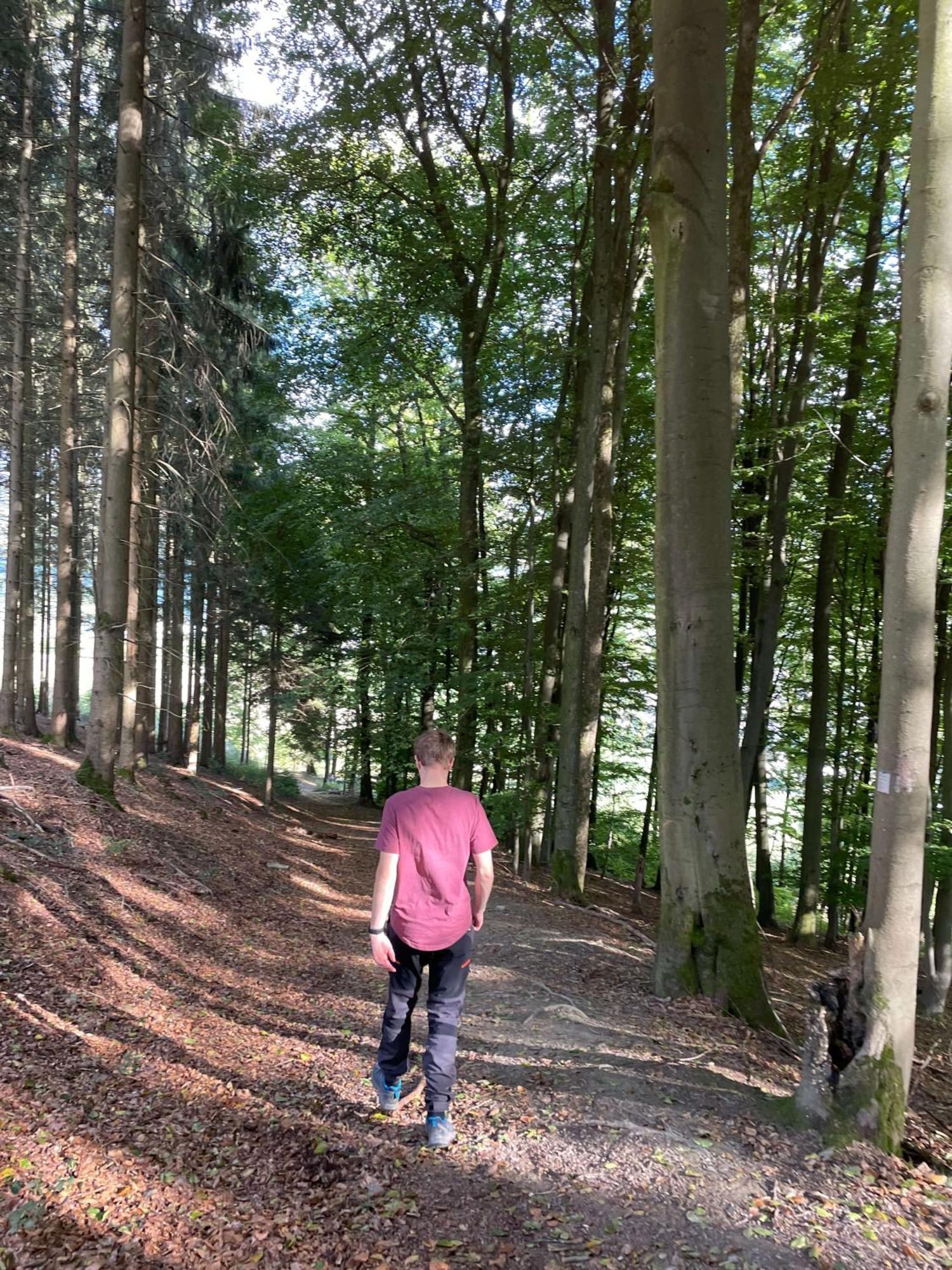 Landgasthof Reinert Reiste Zewnętrze zdjęcie